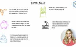 Insight - Aerospace Industry
